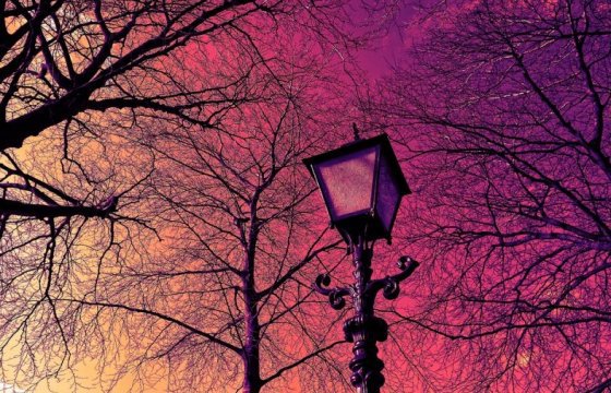 В вильнюсском парке Вингис установили ночное освещение