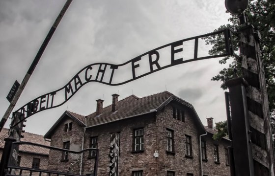 Польша решила позвать Путина на годовщину освобождения Освенцима