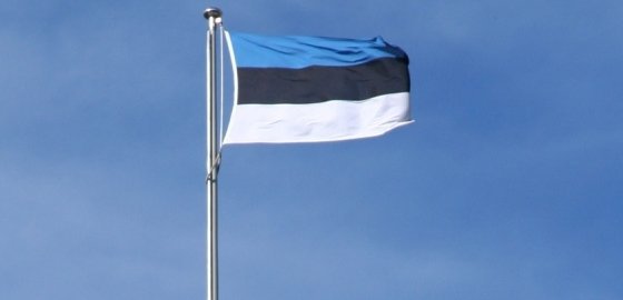 Министр юстиции Эстонии высказался против официального двуязычия в Ида-Вирумаа