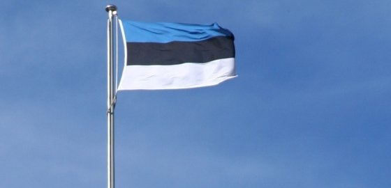 Совет Европы огласил рекомендации для Эстонии по вопросу нацменьшинств