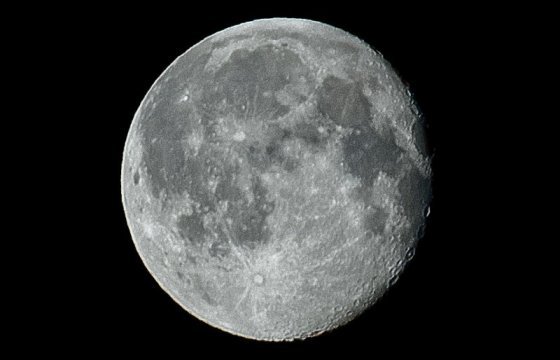 NASA приостановило контракт со SpaceX на отправку астронавтов на Луну