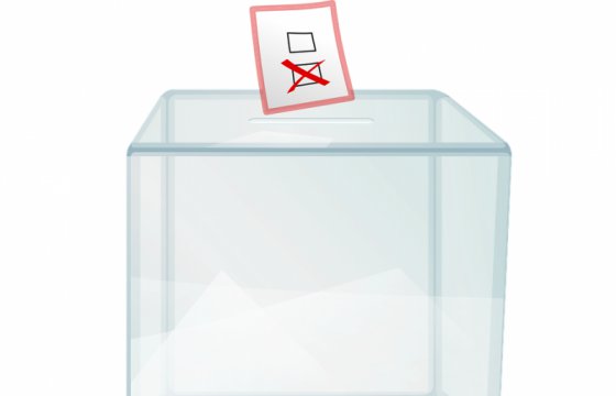 В среду в Литве началось предварительное голосование на парламентских выборах