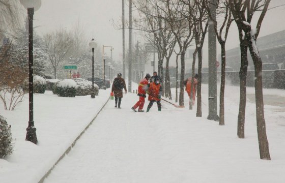 Сильнейшие снегопады обрушились на Центральную Европу