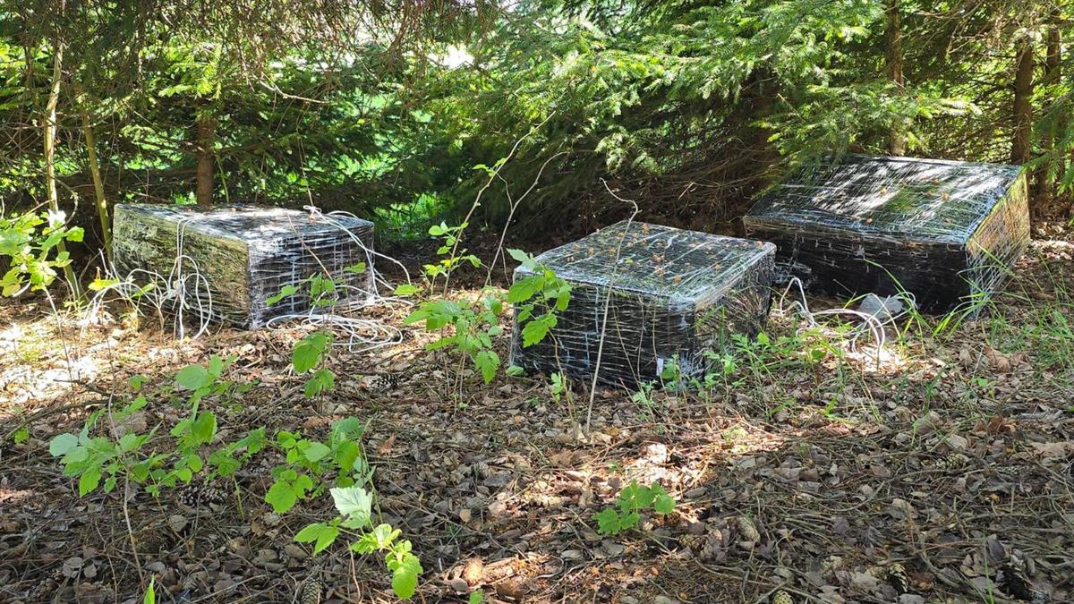 В Литве по делу о контрабанде воздушными шарами задержаны 27 человек, среди них 13 сотрудников силовых структур