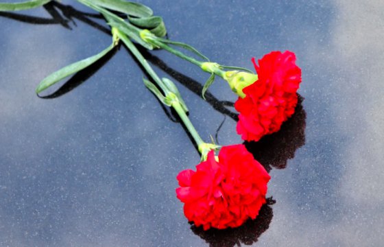 В Риге волонтеры до утра перекладывали цветы у памятника Освободителям