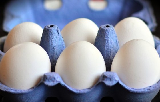 Ассоциация производителей яиц Латвии призвала остановить импорт яичных продуктов из Украины