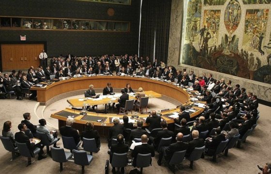 Польша на месяц возглавила Совет Безопасности ООН