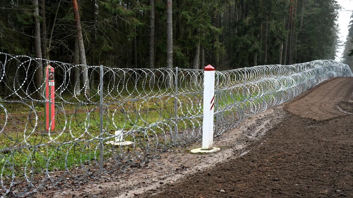 Amnesty International обвинила Латвию в жестоком обращении с мигрантами на границе с Беларусью
