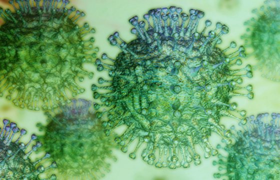В Литве зафиксирован первый случай коронавируса