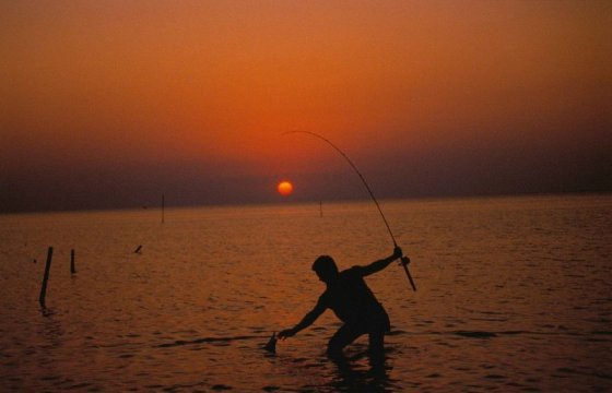 В ЕС утвердили квоты на вылов рыбы в Балтийском море