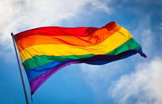 Посольства стран ЕС и МИД Литвы выразили поддержку гей-параду в Вильнюсе