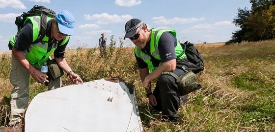 Глава МИД Литвы: виновники катастрофы MH17 должны понести наказание