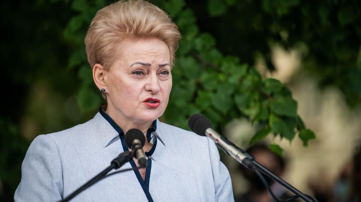 Грибаускайте обвинила литовских политиков в трусости в вопросе калининградского транзита