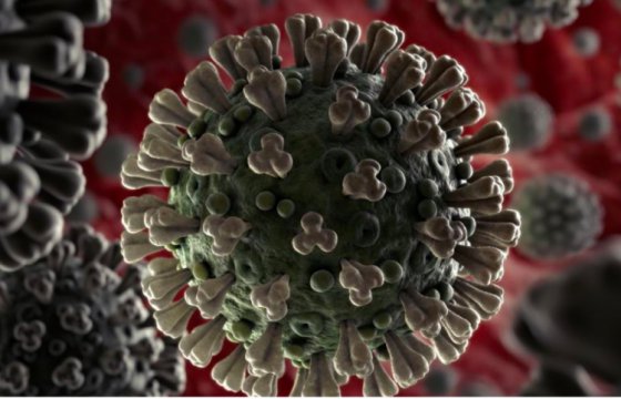 ВОЗ присвоила новому коронавирусу официальное название