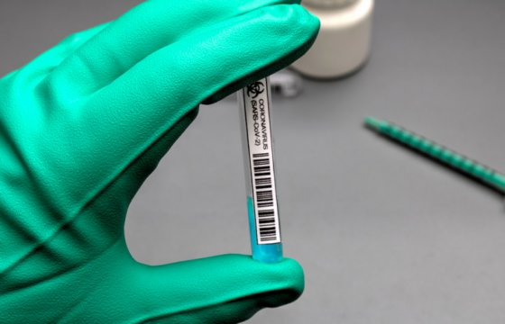 COVID-вакцина Pfizer показала более чем 90% эффективность