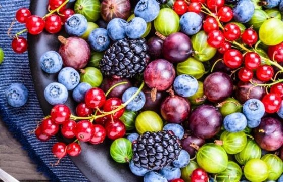Предприятие: на зарубежных рынках растет спрос на латвийские ягоды